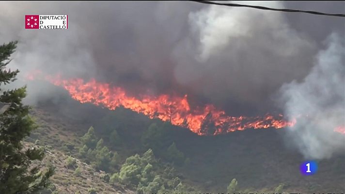 L'informatiu - Comunitat Valenciana - L'Informatiu Comunitat Valenciana 1 - 17/08/22