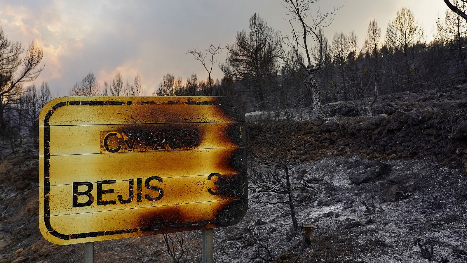 Telediario 2 en cuatro minutos - 17/08/22 - RTVE.es 