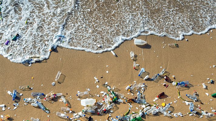Telediario 2 - Esculturas fabricadas con basura encontrada en el mar: cuando el arte sirve para crear conciencia ambiental