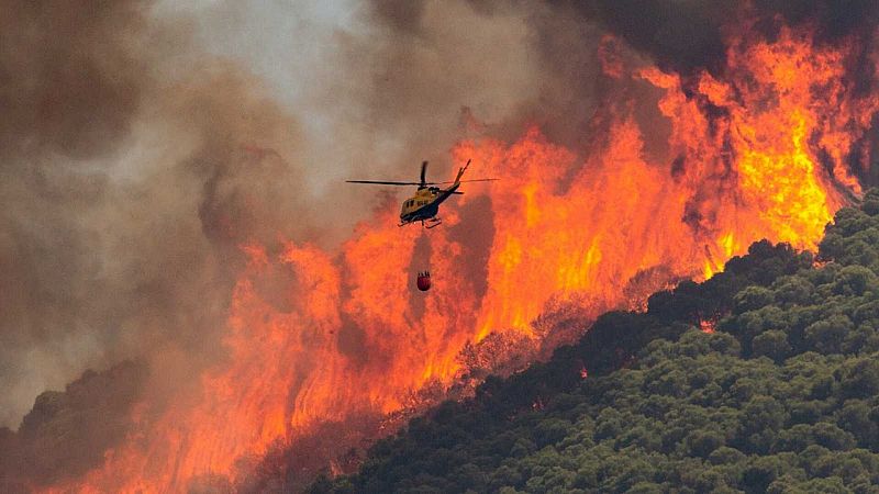 La ola de calor ha sido determinante a la hora de aumentar el número y la fuerza de los incendios - Ver ahora