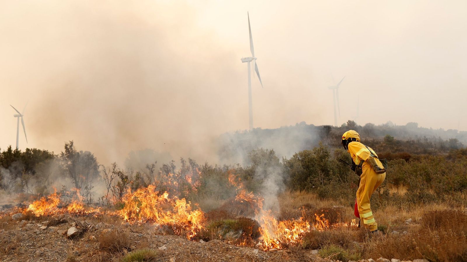 La lluvia reduce la llama en el incendio forestal de Bejís hasta casi desaparecer