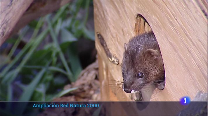 Telerioja en 2' - 18/08/22