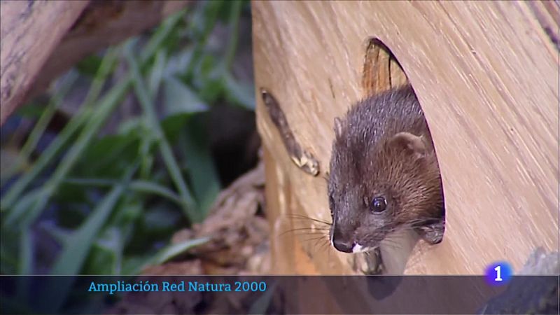 Telerioja en 2' - 18/08/22 - Ver ahora