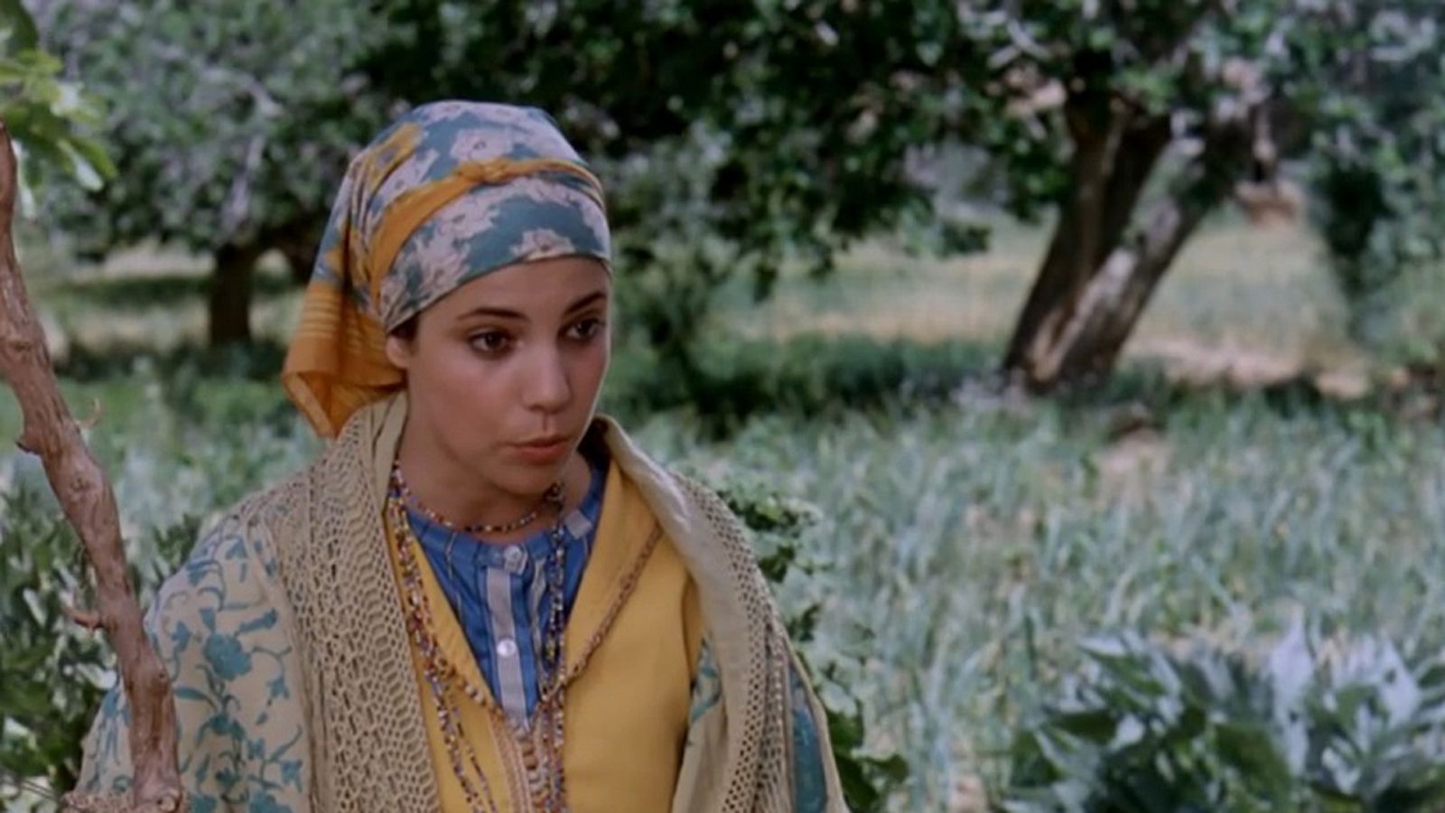 Cine - Badis - Ver ahora