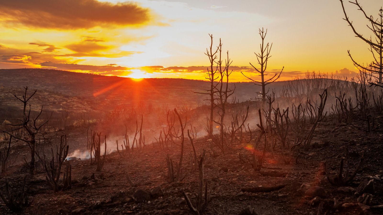 Una noche en el puesto de mando del incendio de Bejís