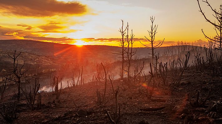 Telediario 1 - Una noche en el puesto de mando del incendio de Bejís
