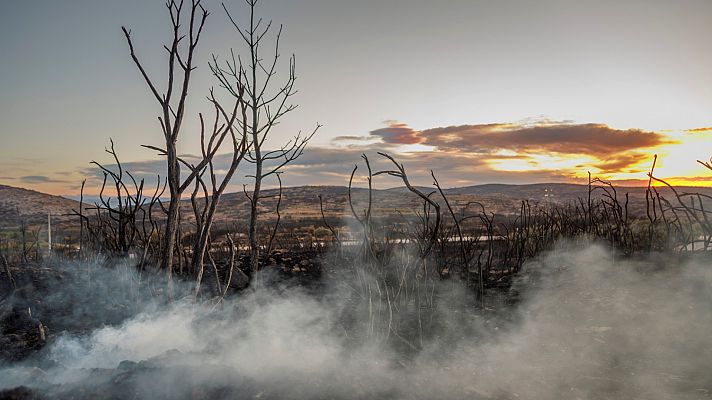 Telediario 1 - Telediario - 15 horas - 18/08/22