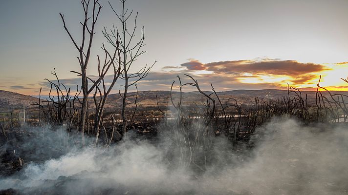 Telediario 1 - Telediario - 15 horas - 18/08/22