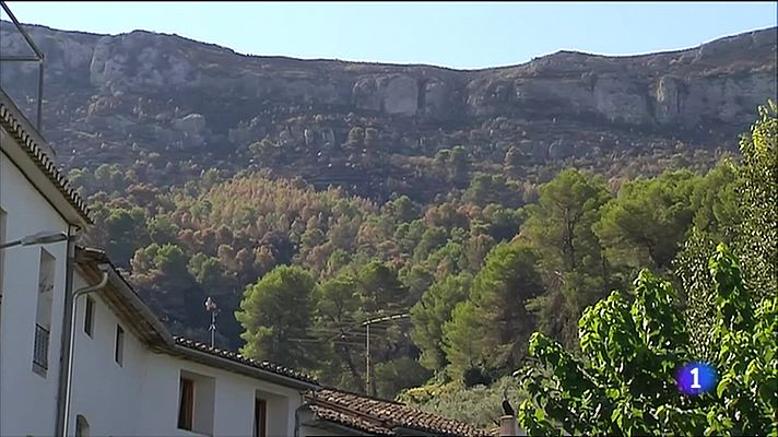 Los vecinos afectados por el fuego en la Vall d'Ebo vuelven a sus casas