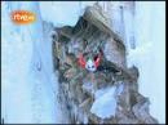 - Cómo escalar en paredes de hielo