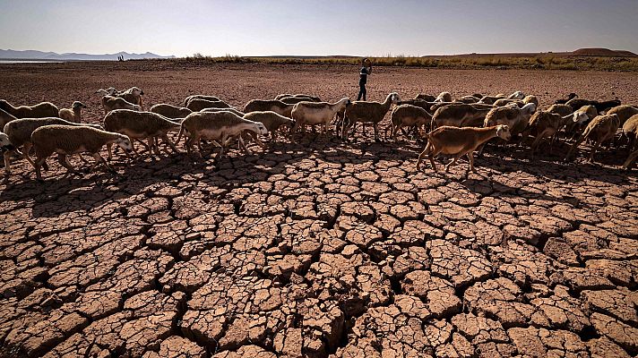 Marruecos sufre su peor sequía en tres décadas