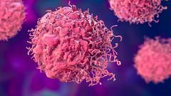 Casi la mitad de las muertes por cáncer están provocadas por factores de riesgo que se pueden prevenir