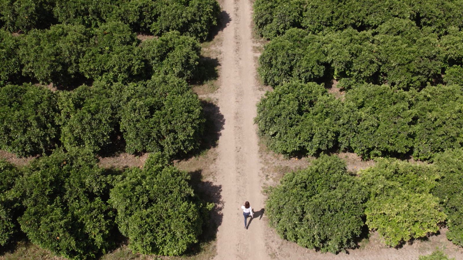 Vuelvo a empezar - Ses Salines (Mallorca), Cubillo del Butrón (Burgos) y Los Rosales (Sevilla) - ver ahora