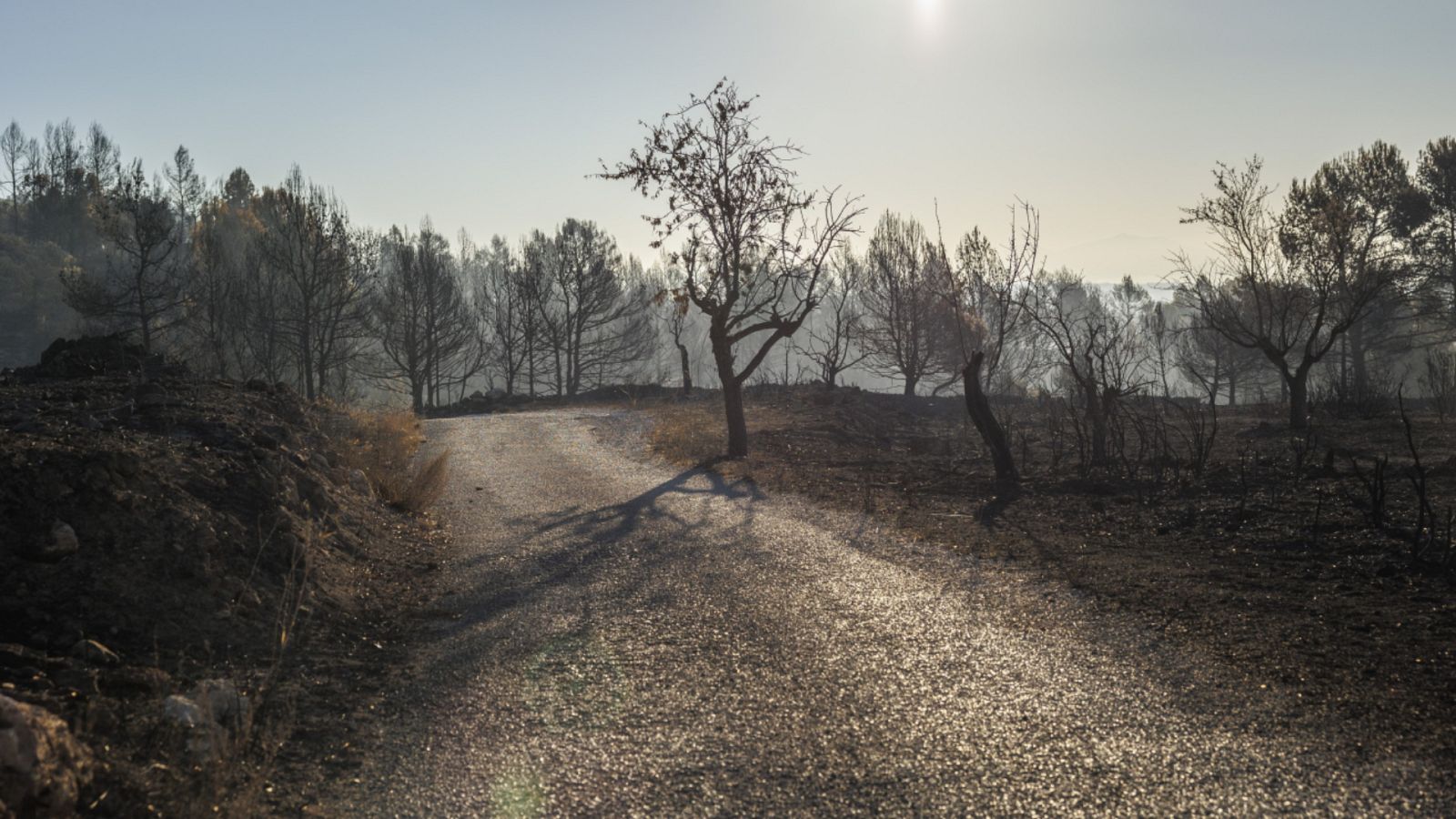 Telediario - 15 horas - 20/08/22 - Lengua de signos - ver ahora
