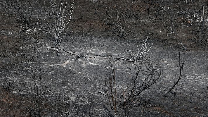 ¿Qué ocurre con los restos que dejan los incendios forestales?