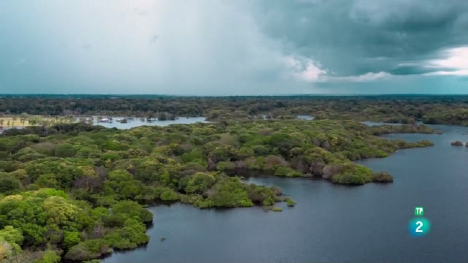 Planeta selva - WildLatam - L'Amazones