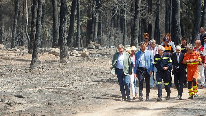 Sánchez anuncia que el Gobierno declarará como zona catastrófica a los territorios afectados por los grandes incendios 