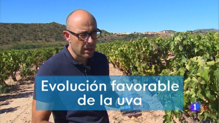 Informativo Telerioja - Telerioja en 2' - 23/08/22