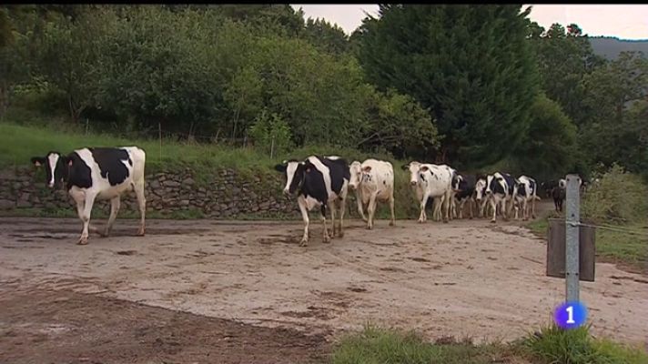 Panorama Regional - Panorama Regional 2 - 23/08/22