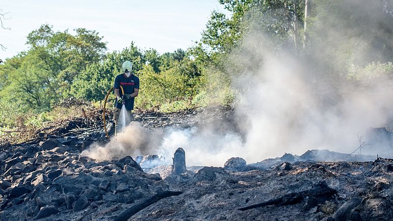 El decreto de incendios aprobado por el Congreso obliga a elaborar planes anuales de prevención