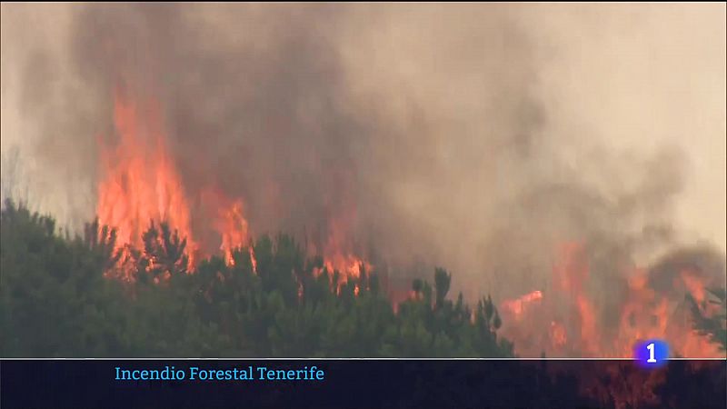 Telecanarias - 25/08/2022