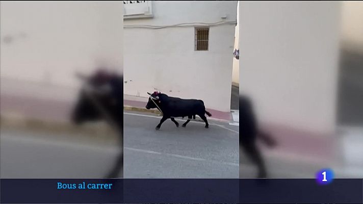 L'informatiu - Comunitat Valenciana - L'Informatiu Comunitat Valenciana 1 26/08/2022