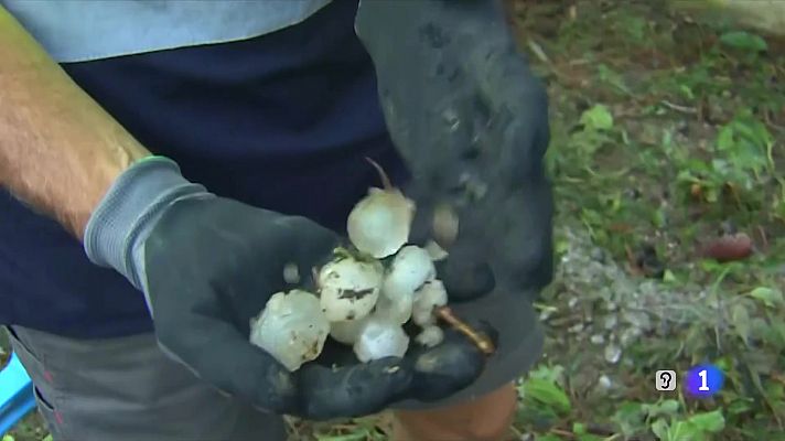 L'Informatiu - L'Informatiu - 26/08/2022