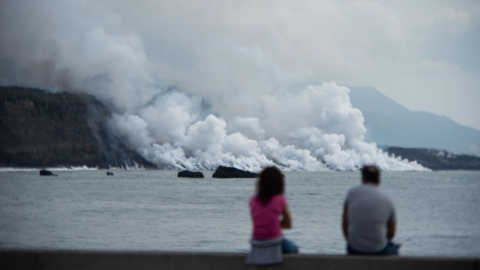 La vida vuelve al fondo marino de La Palma afectado por el volcán