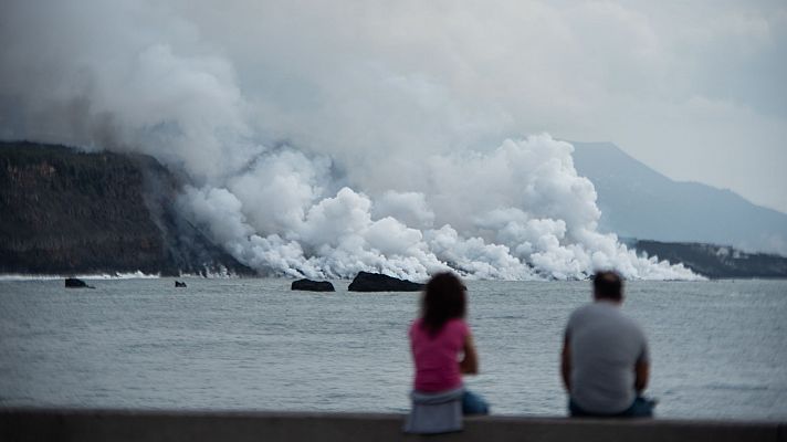 Telediario Fin de Semana - La vida vuelve al fondo marino de La Palma afectado por el volcán