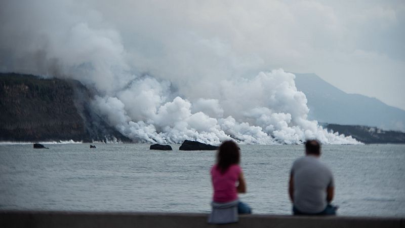 La vida vuelve al fondo marino de La Palma afectado por el volc�n