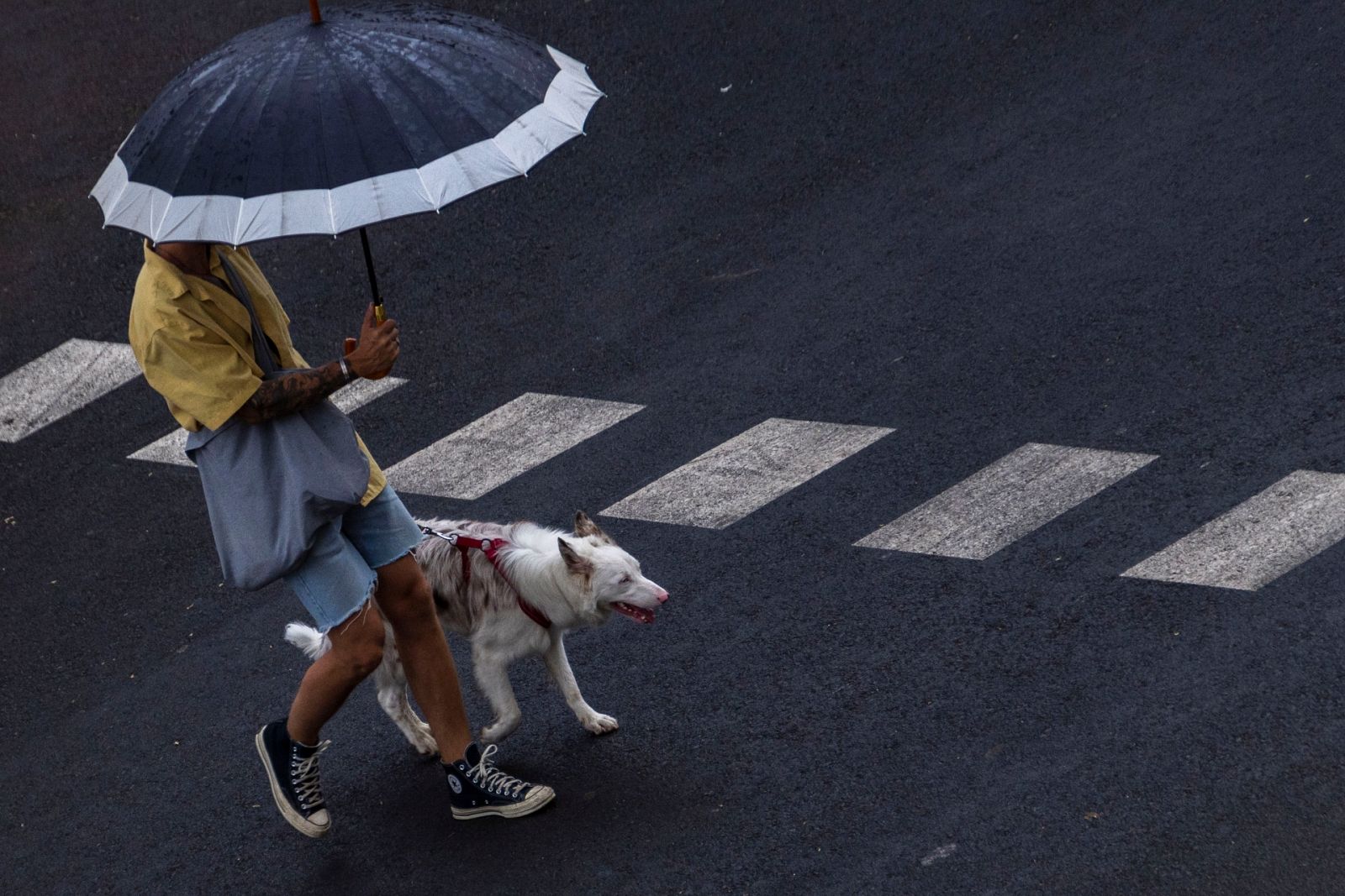 Fuertes ráfagas de viento y lluvia intensa en Cataluña y Baleares