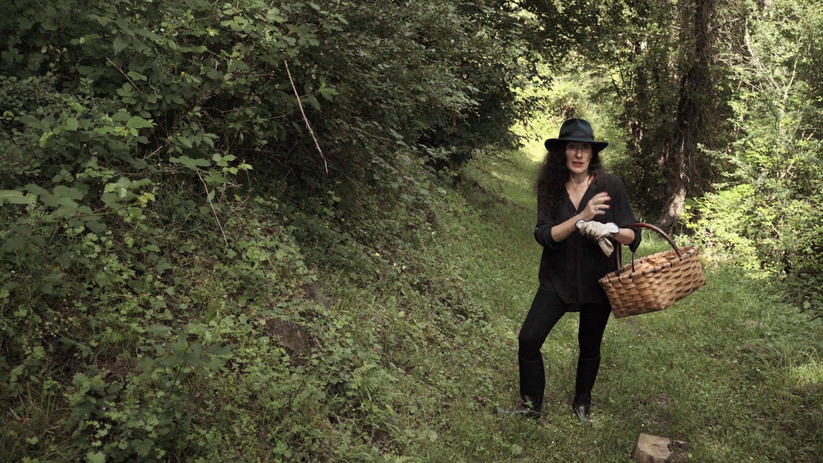 Vuelvo a empezar - Lerín (Navarra), Benidoleig (Alicante) y Avellanedo (Cantabria) - ver ahora