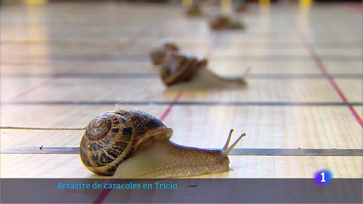 Informativo Telerioja - Informativo Telerioja 2 - 29/08/22