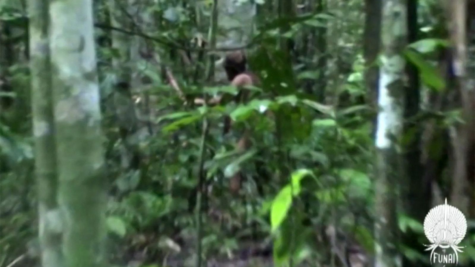 Muere el "hombre del agujero", el indígena más aislado de Brasil