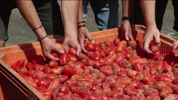 L'informatiu - Comunitat Valenciana - L'Informatiu Comunitat Valenciana 1 - 30/08/22