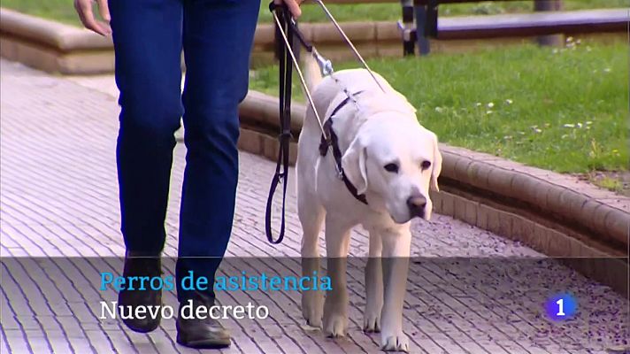 Informativo Telerioja - Informativo Telerioja  - 31/08/22