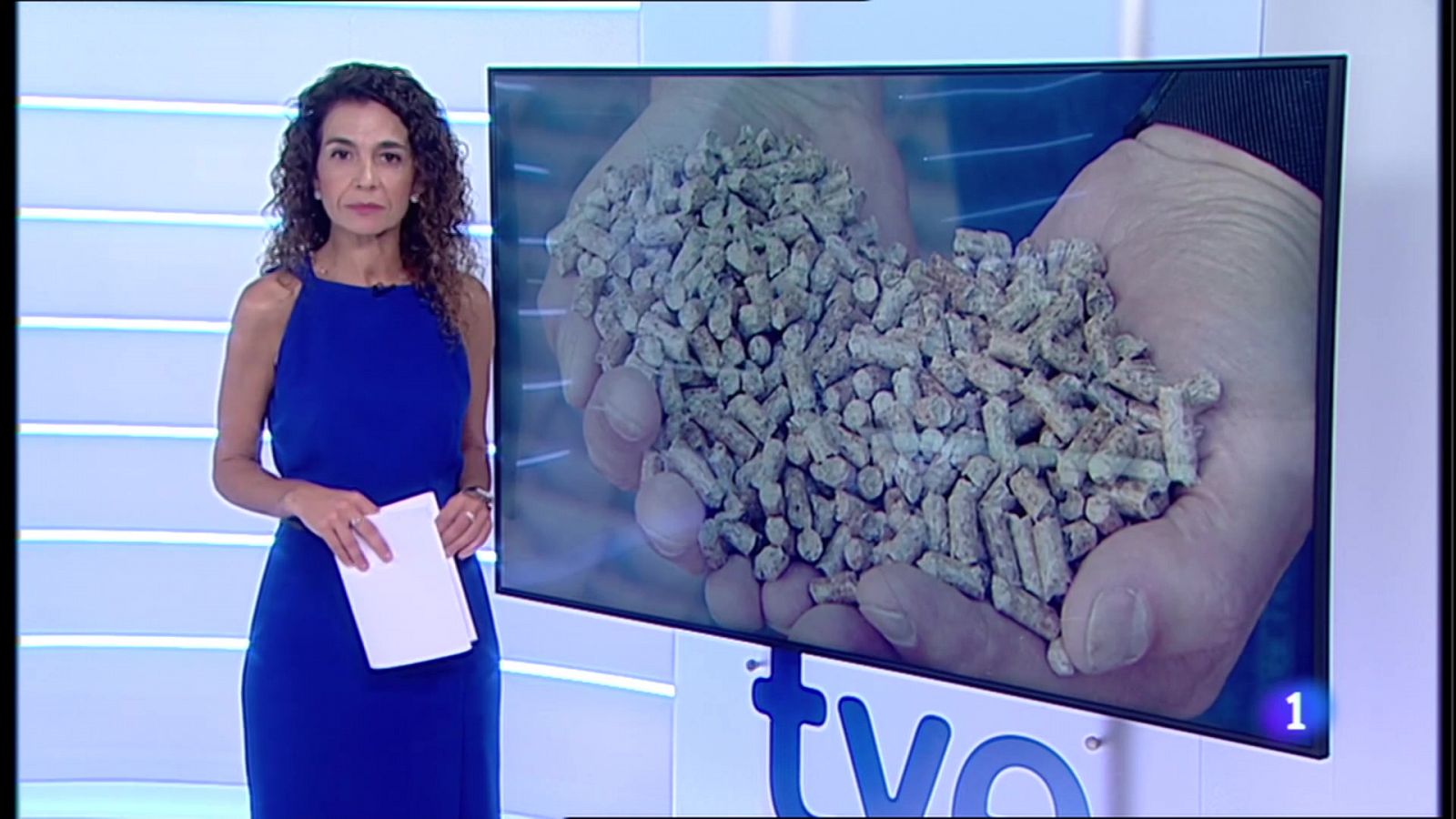 Informativo Telerioja 2 - 01/09/22 - RTVE.es