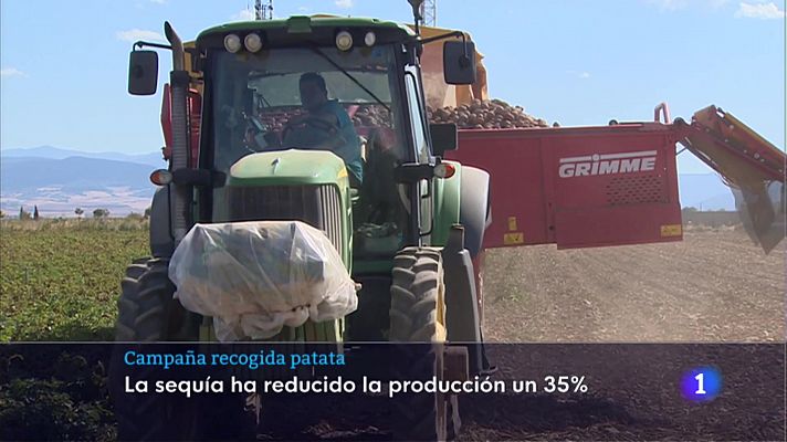 Informativo Telerioja - Informativo Telerioja  - 02/09/22