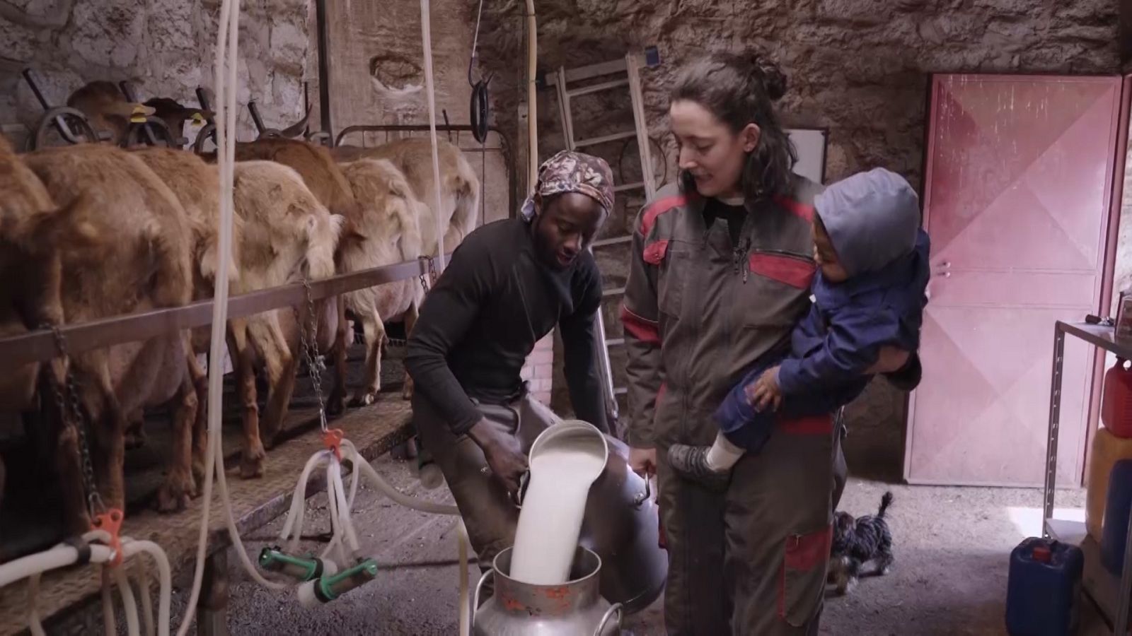 Vuelvo a empezar - Bustarviejo (Madrid), Mayorga (Valladolid) y Riópar (Albacete) - ver ahora