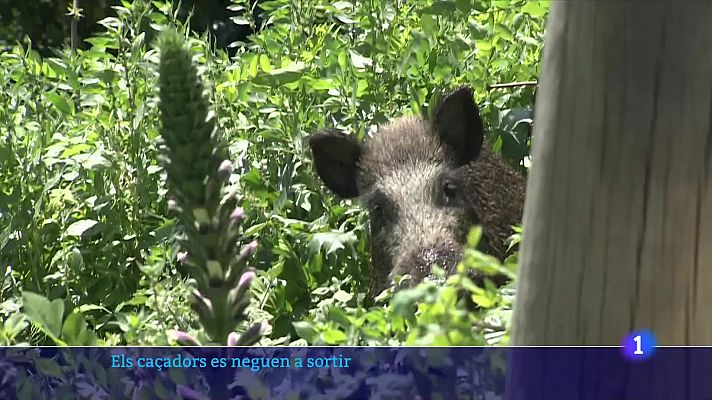 Els caçadors es planten i no comencen la temporada