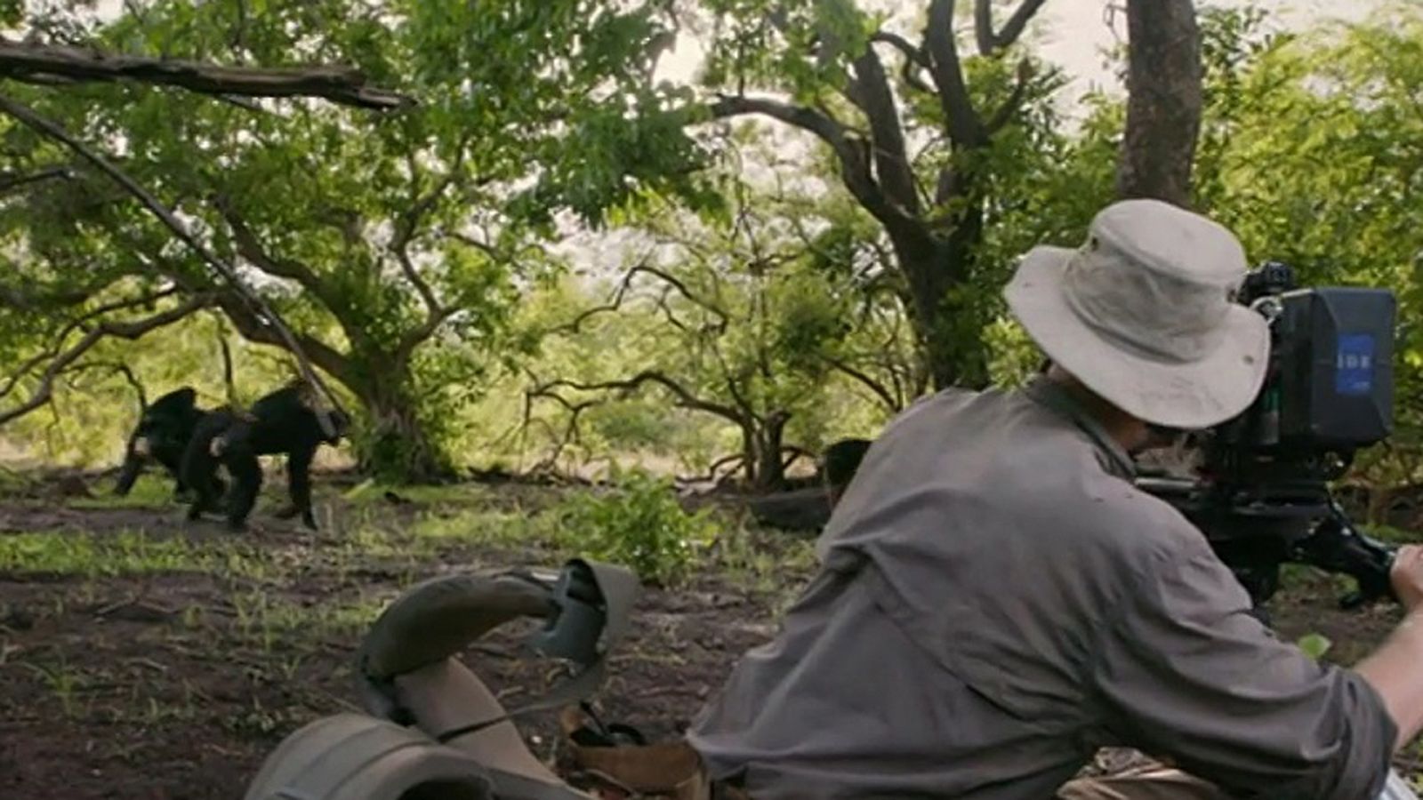 Cómo se hizo Dinastías - Episodio 1: Chimpancés - ver ahora