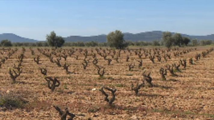 Noticias Andalucía - Reunión Mesa Nacional de la Sequía