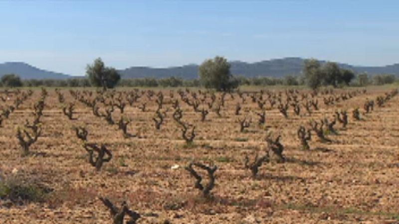 Reunión Mesa Nacional de la Sequía - Ver ahora