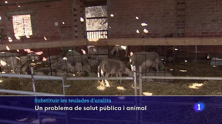 L'Informatiu - La violenta pedregada de fa una setmana a la Bisbal d'Empordà va deixar malmeses moltes teulades d'uralita