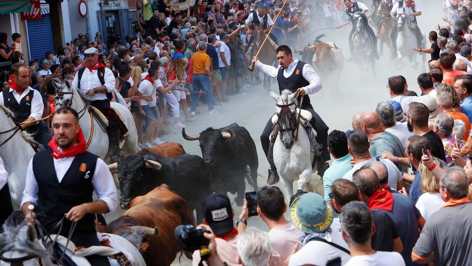 Segorbe recupera la tradicional entrada de toros y caballos