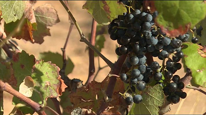 L'informatiu - Comunitat Valenciana - L'Informatiu de la Comunitat Valenciana 2 - 05/09/22