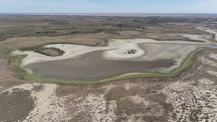 Doñana en situación de sequía