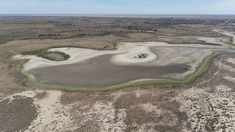 Doñana en situación de sequía - Ver ahora