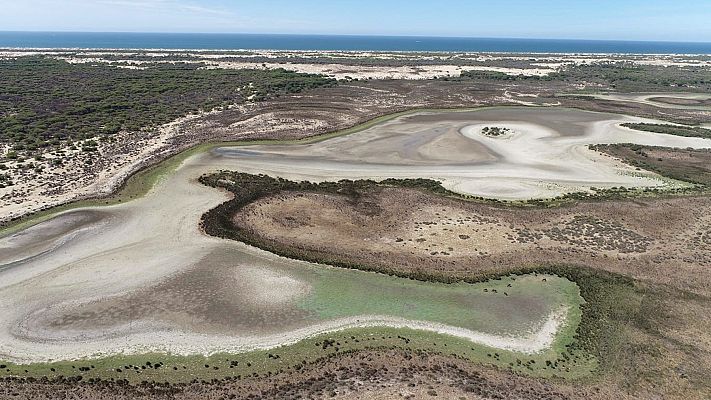 Telediario 1 - Se seca la última laguna permanente de Doñana