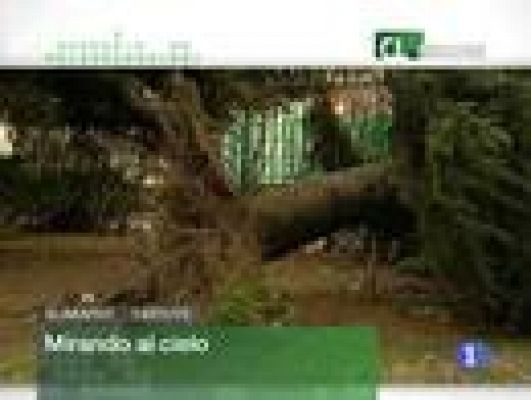 Noticias de Castilla y León - Noticias de Castilla y León - 14/01/10